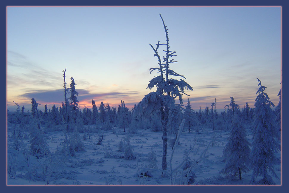 photo "***" tags: landscape, forest, winter