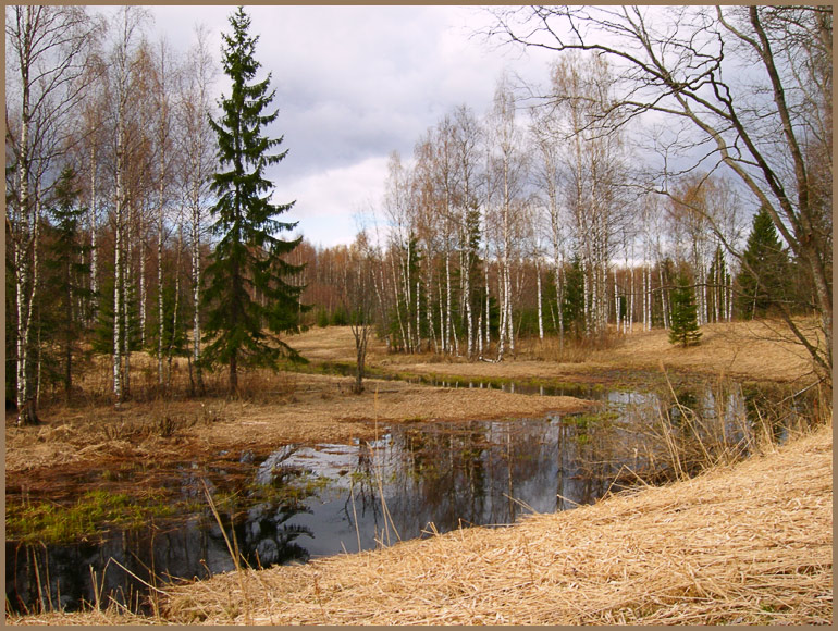 photo "***" tags: landscape, forest, water