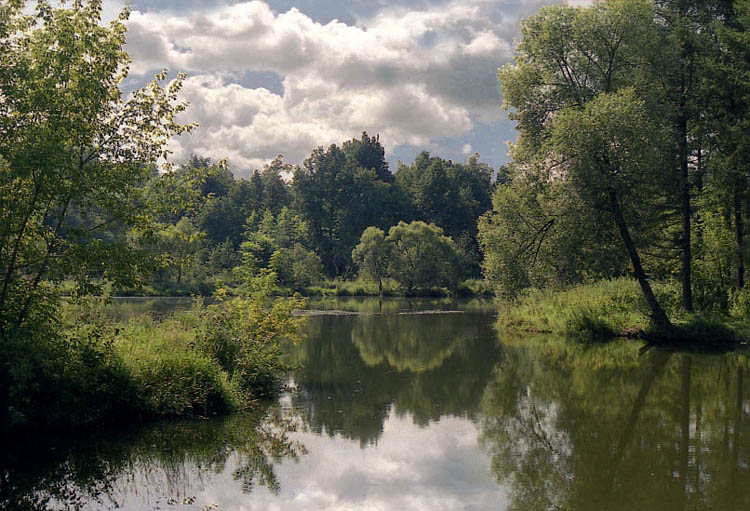 photo "***" tags: landscape, summer, water