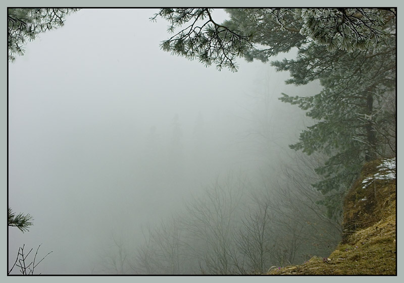 фото "Утопая в тумане" метки: пейзаж, весна, лес