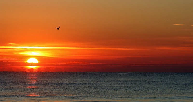 photo "Sunset" tags: landscape, sunset