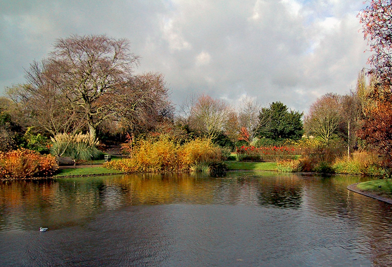 photo "Nature Pond" tags: landscape, spring