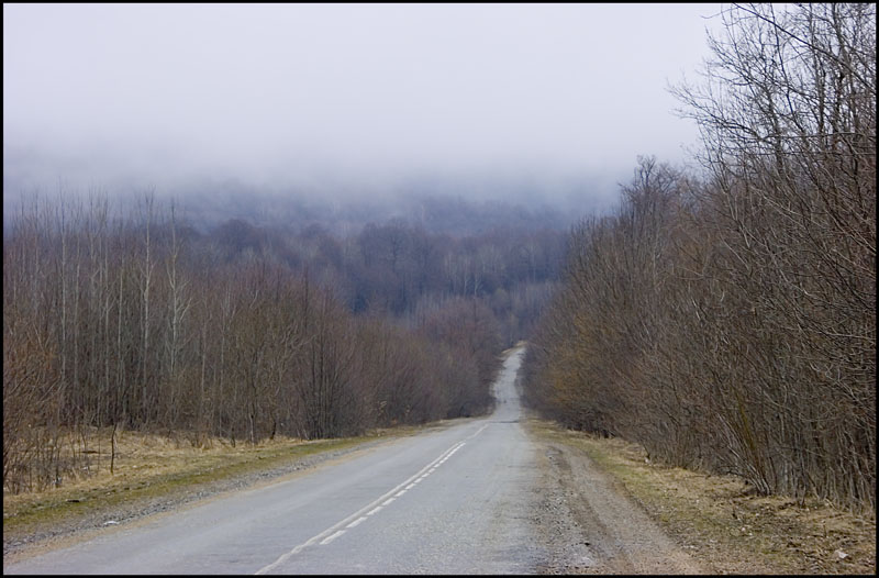 фото "Сиреневый туман" метки: пейзаж, горы, лес