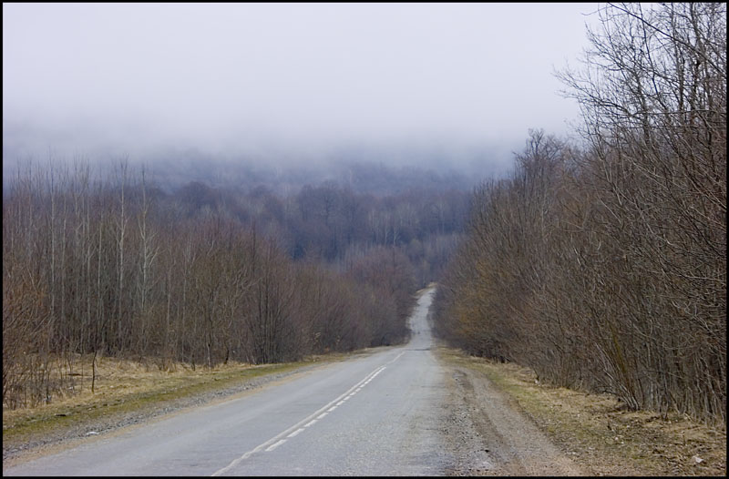 photo "***" tags: landscape, forest, mountains