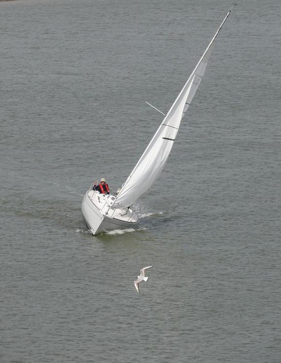 фото "Sailing ...." метки: пейзаж, вода