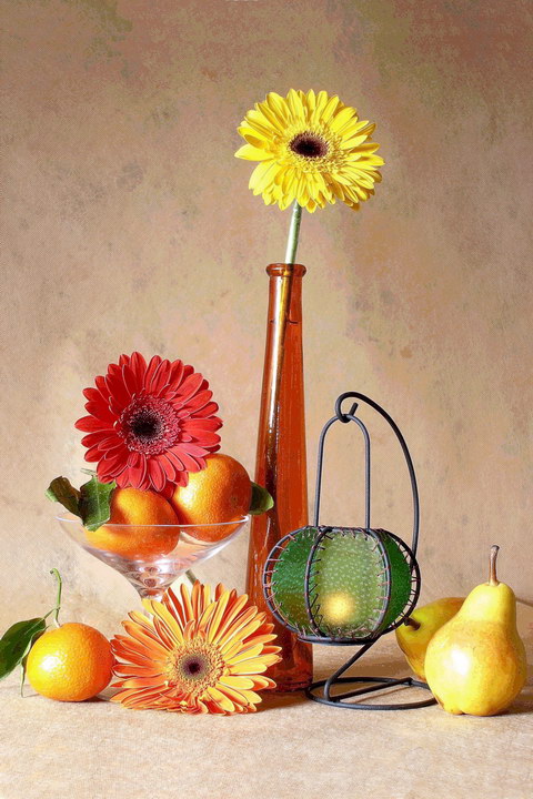 photo "fruit-piece" tags: still life, 