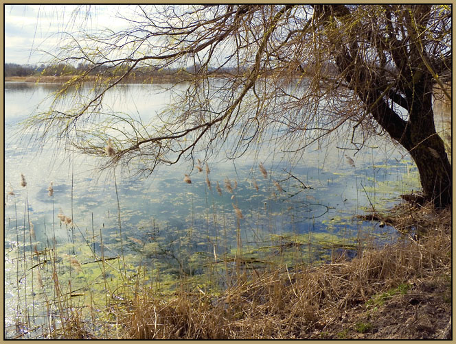 photo "Blue-Eyed Belarus" tags: nature, landscape, water