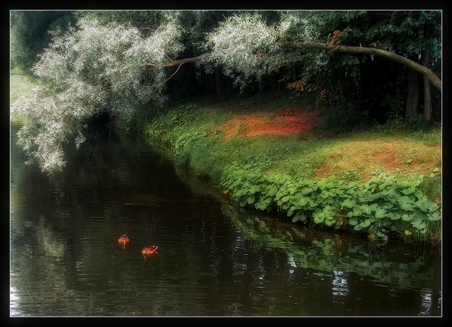 photo "Magical Tale" tags: landscape, water