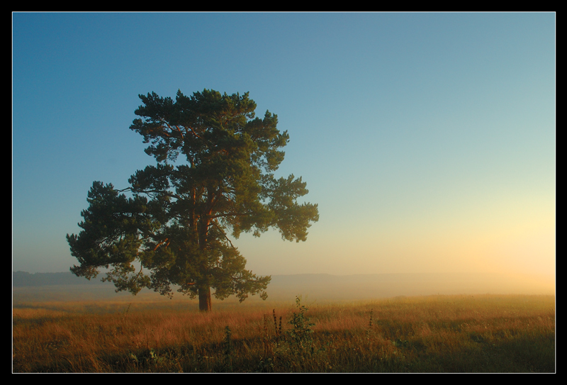 фото "Доброе Утро!" метки: пейзаж, закат, лето