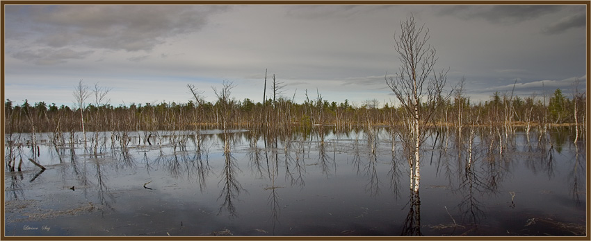 фото "***" метки: пейзаж, весна