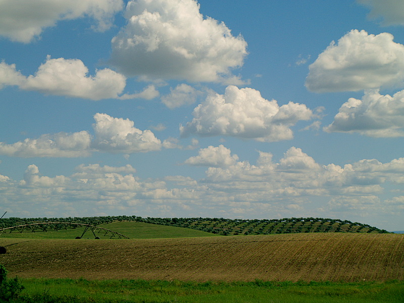 photo "Between sky and... dream !" tags: landscape, spring