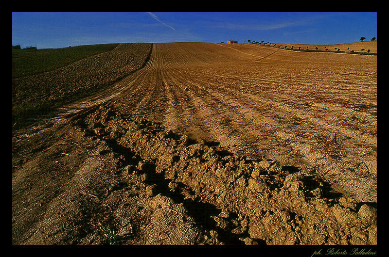 photo "A field." tags: landscape, 