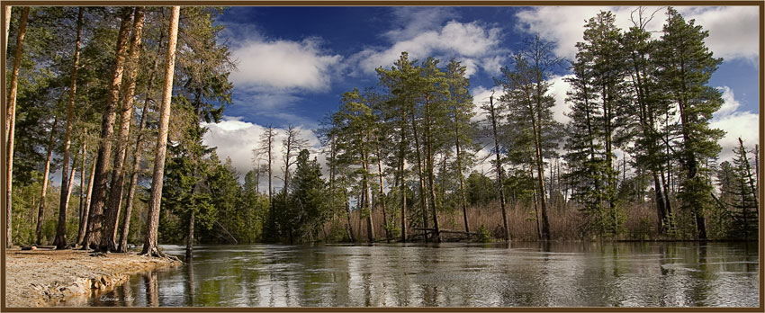 photo "***" tags: landscape, spring