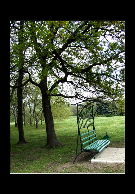 photo "Verde" tags: landscape, spring