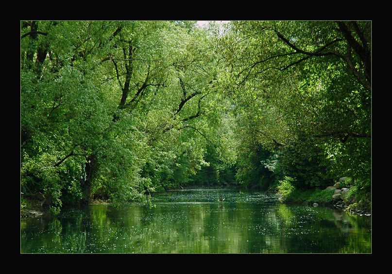 фото "The Green Valley" метки: пейзаж, вода