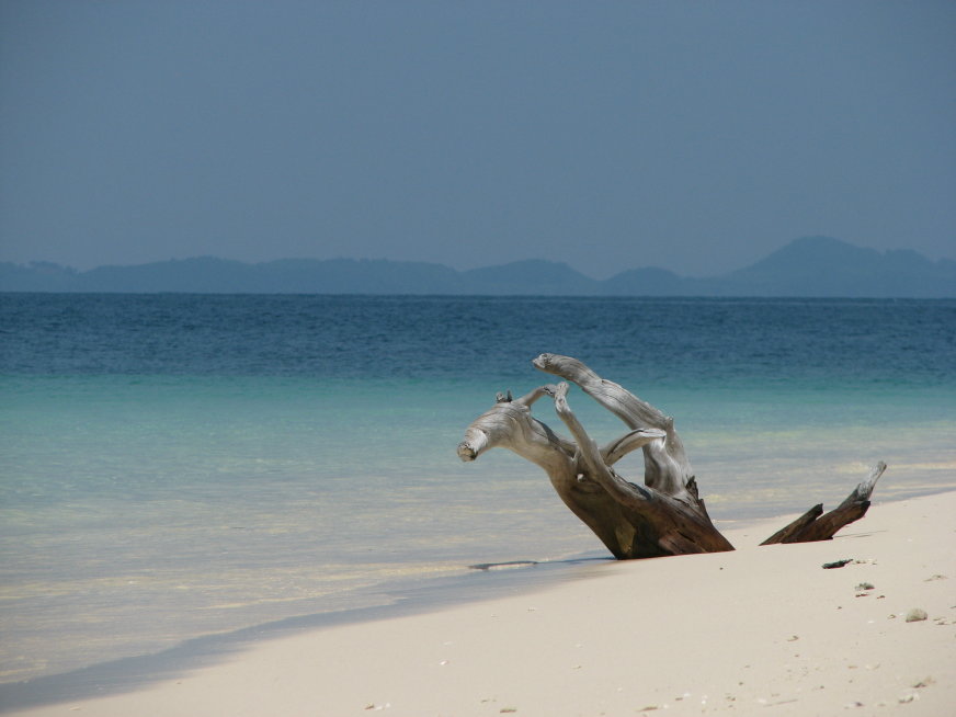фото "Пляжное чудище=)" метки: пейзаж, путешествия, Азия, вода