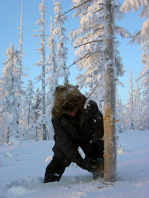 фото "Заготовка дров" метки: пейзаж, жанр, зима