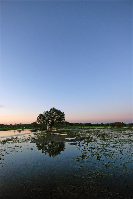 photo "***" tags: landscape, water