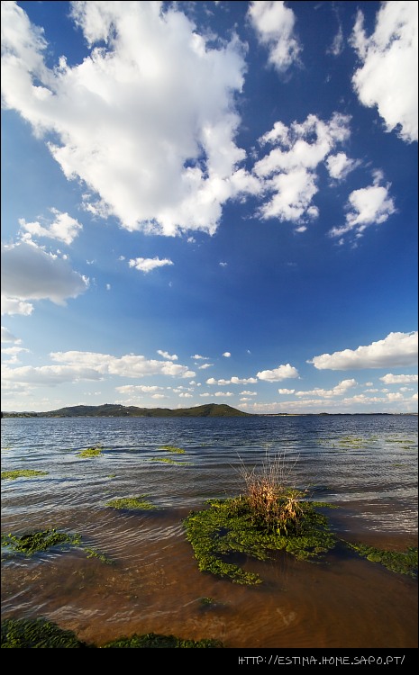 photo "Lake" tags: landscape, water