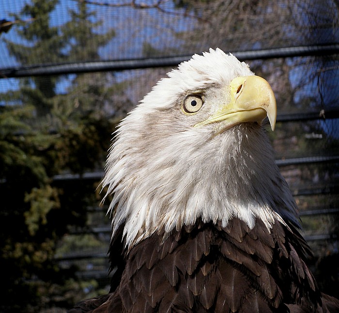 photo "well hello there" tags: nature, portrait, wild animals