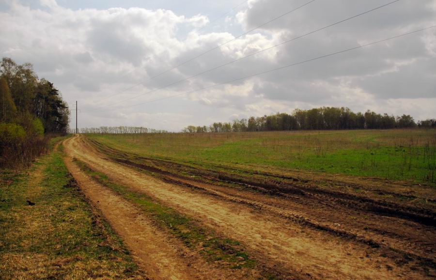photo "Field road" tags: landscape, spring