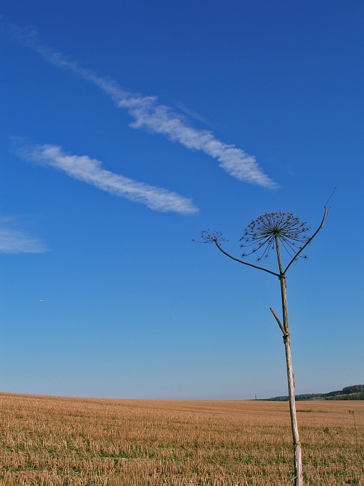 photo "***" tags: landscape, spring