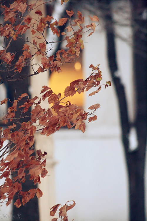 фото "Осень в окошко стучалась.. молила..." метки: пейзаж, осень
