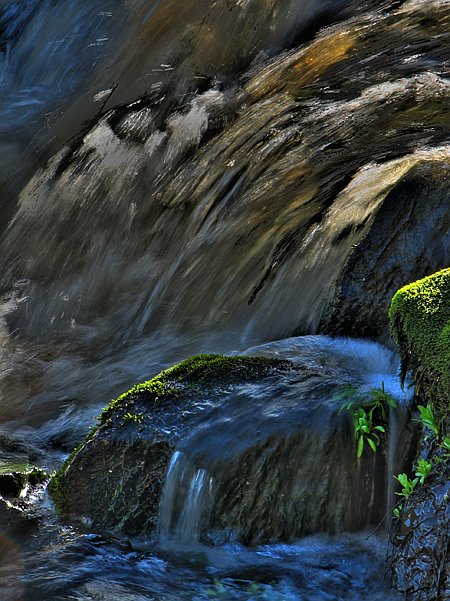 фото "'By the river'" метки: пейзаж, весна, вода