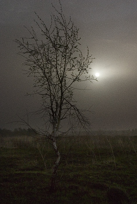 фото "Лунная ночь. Подражая Куинджи." метки: пейзаж, ночь