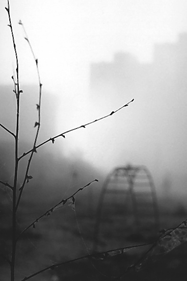 photo "***" tags: city, black&white, 