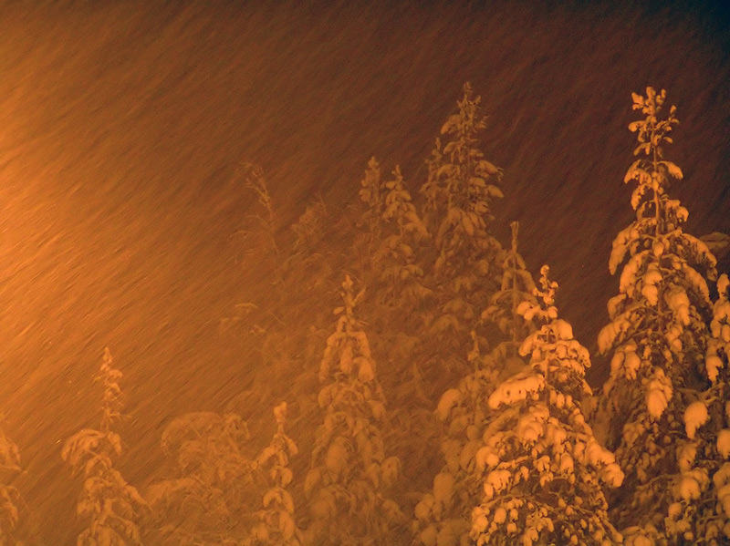photo "New years snow" tags: landscape, night, winter