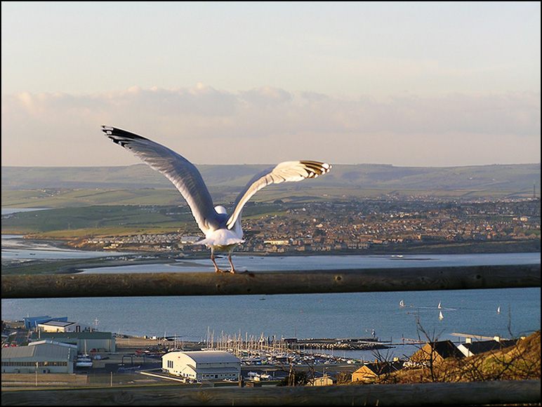 photo "From height of the bird's flight" tags: travel, landscape, Europe, winter
