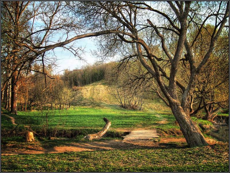 photo "Spring walk" tags: landscape, spring
