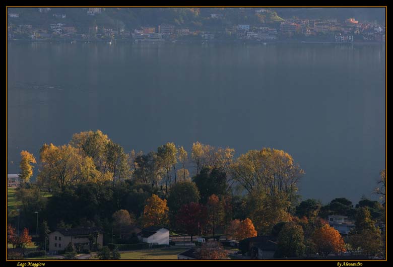 photo "lago maggiore" tags: landscape, water