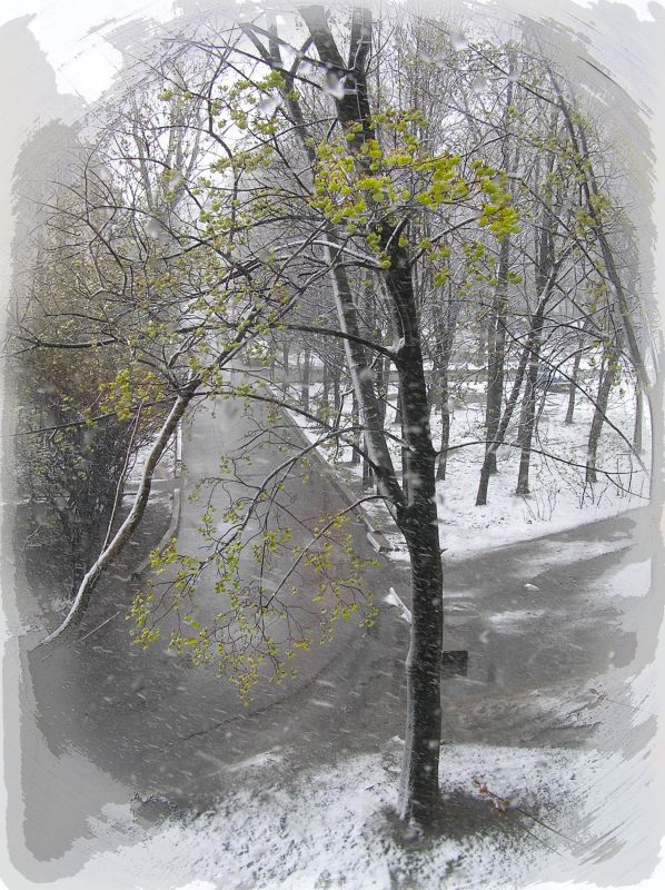 photo "***" tags: landscape, spring