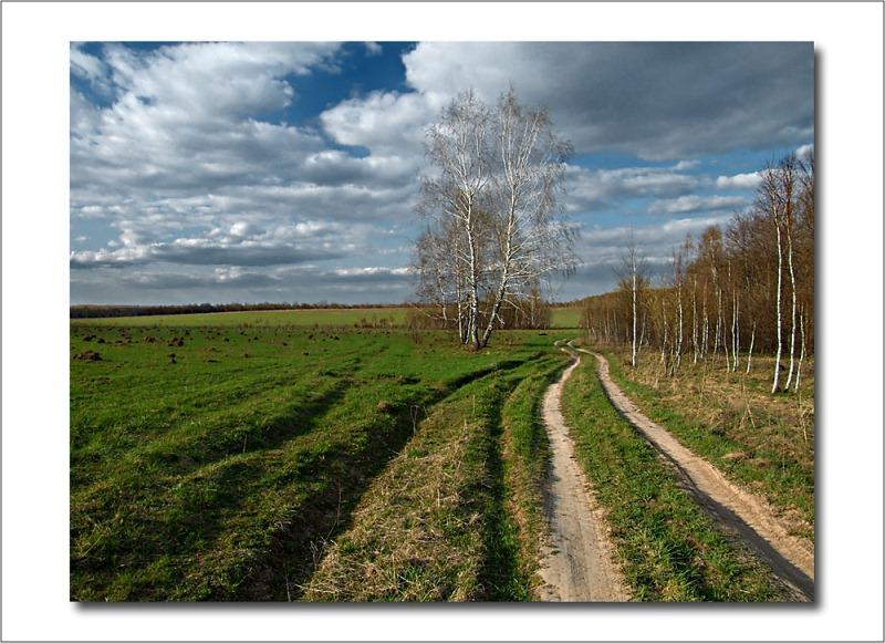 photo "Spring" tags: landscape, clouds, spring