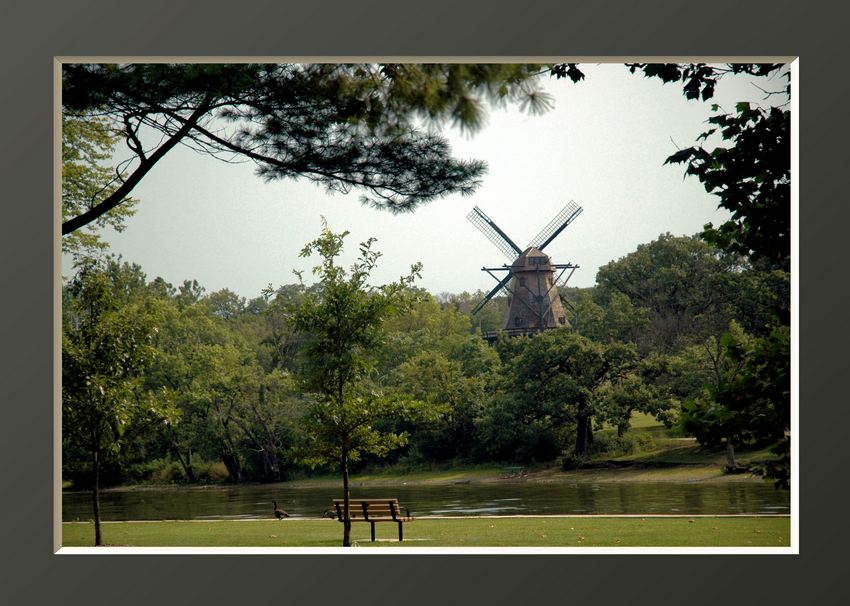 photo "Back at the Mill" tags: landscape, forest