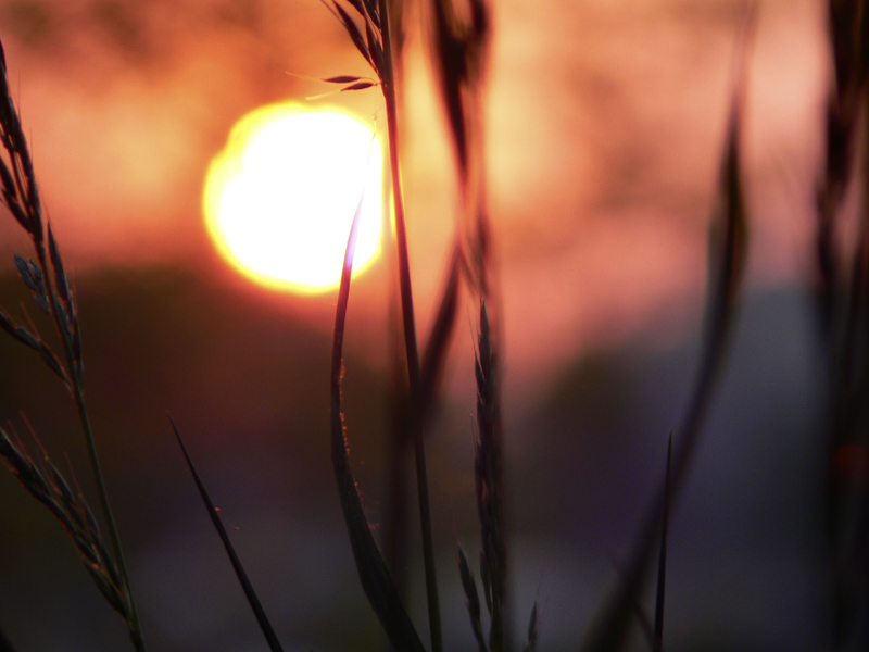 photo "sunset" tags: , 