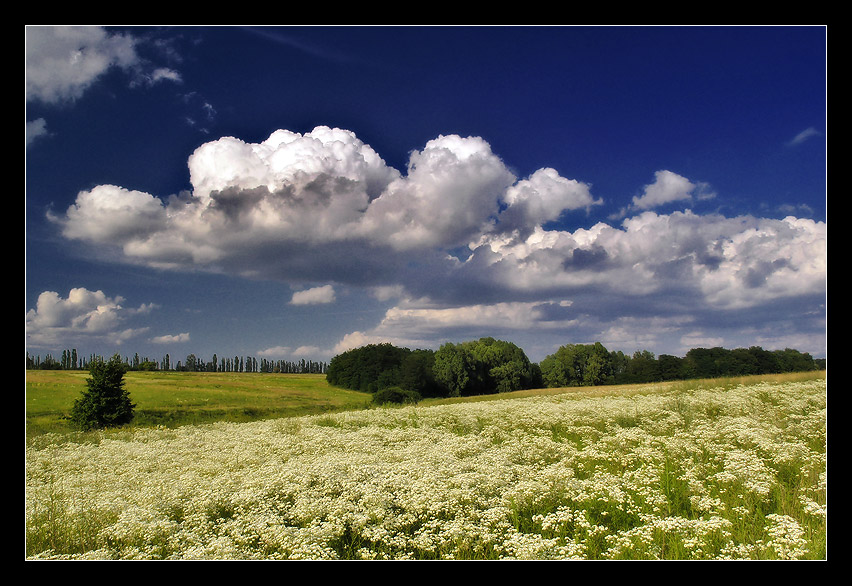 photo "Summer memories" tags: landscape, summer