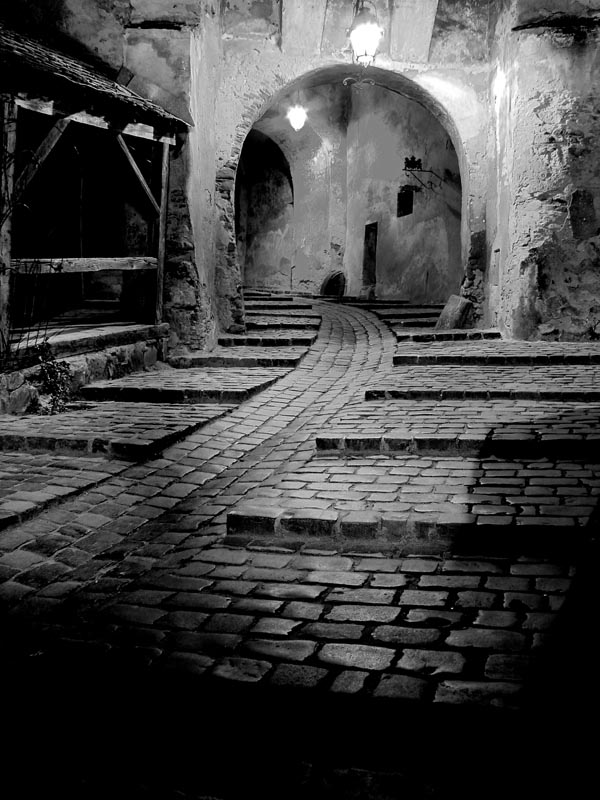 photo "Sighisoara" tags: architecture, black&white, landscape, 