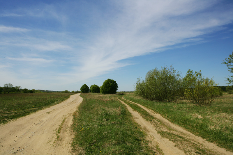 photo "Two ... No; Three roads" tags: landscape, travel, Europe, spring