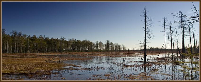 photo "***" tags: landscape, spring