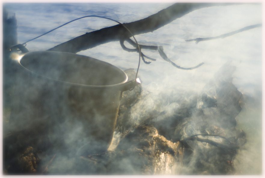 photo "the copper" tags: nature, genre, 