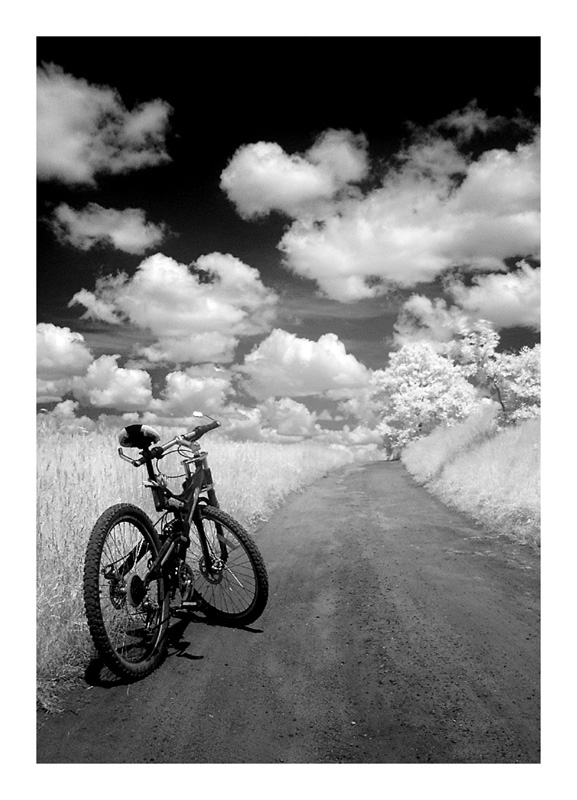 photo "Bike" tags: landscape, clouds