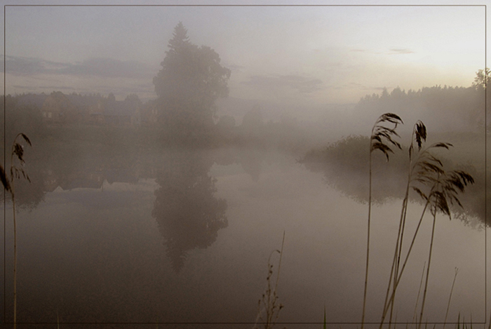 photo "Misty morning" tags: landscape, water