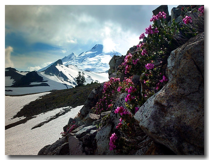 photo "Spring at mount Baker" tags: landscape, nature, flowers, mountains