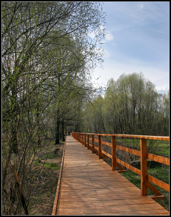 photo "Bridge" tags: , 