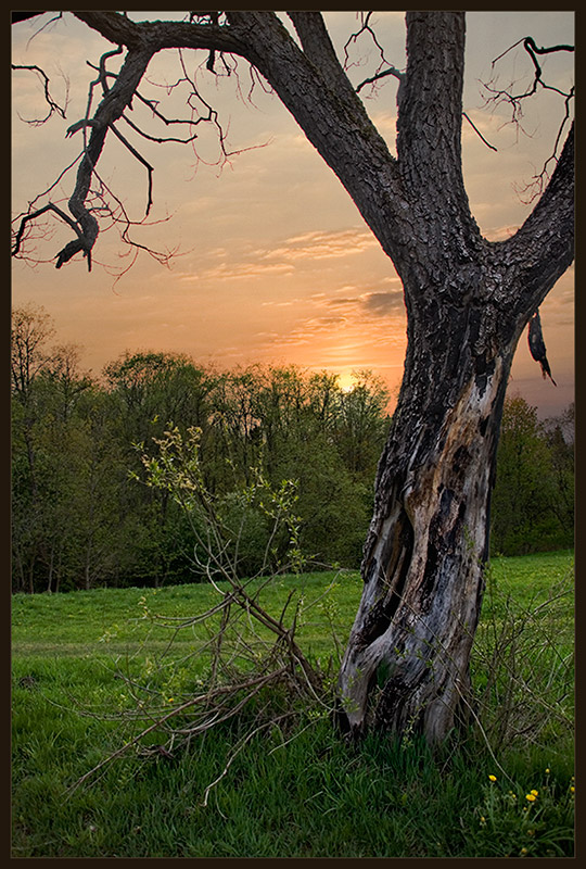 photo "***" tags: landscape, sunset