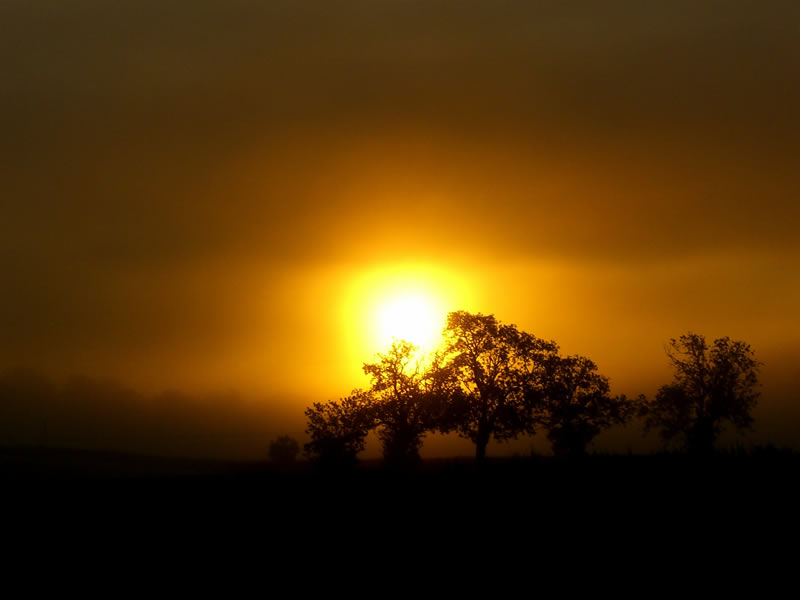 photo "Misty Sunrise" tags: landscape, sunset