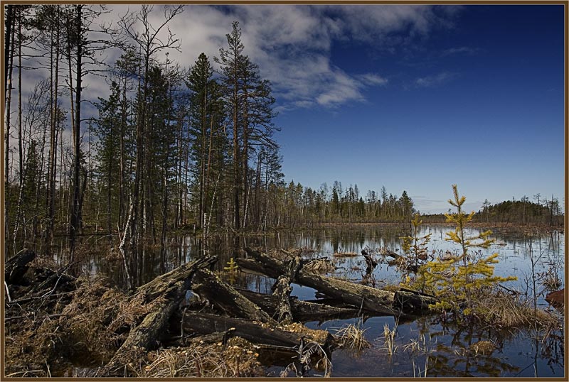 фото "***" метки: пейзаж, весна